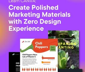 Learn CANVA: Create Polished Marketing Materials with Zero Design Experience
